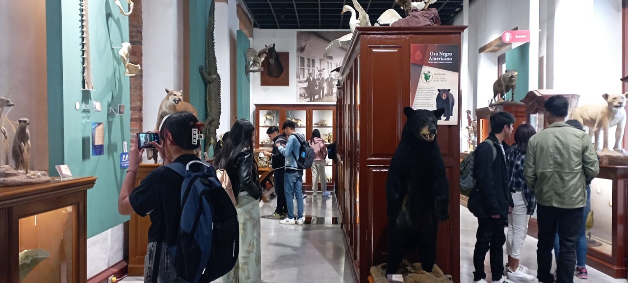Museo Universitario de Historia Natural Image